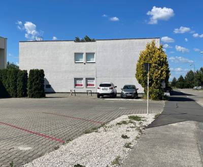 Rent Special estates, Special estates, A. Hlinku, Piešťany, Slovakia