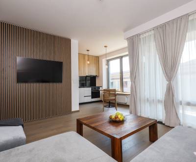 Rent One bedroom apartment, One bedroom apartment, Pribinova, Bratisla