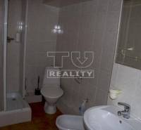 Turany Commercial premises Sale reality Martin