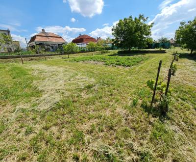 Sale Land – for living, Dvory nad Zitavou, Nové Zámky, Slovakia