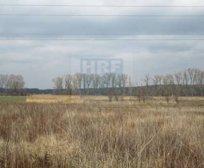 Sale Agrarian and forest land, Skalica, Slovakia
