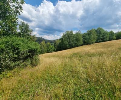 Recreational land, Rieka, Sale, Čadca, Slovakia