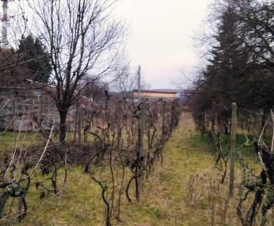 Sale Land – for living, Na Priehon, Nitra, Slovakia