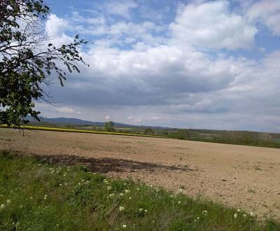 Searching for Land – for living, Senec, Slovakia