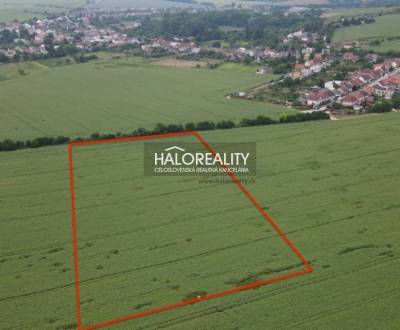 Sale Agrarian and forest land, Trnava, Slovakia