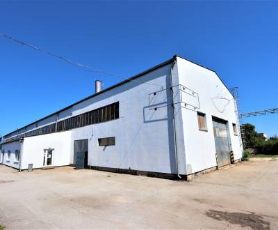 Sale Production premises, Production premises, Družstevná, Piešťany, S