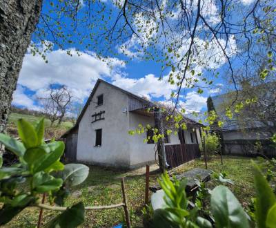 Sale Cottage, Cottage, Zabudišová, Nové Mesto nad Váhom, Slovakia