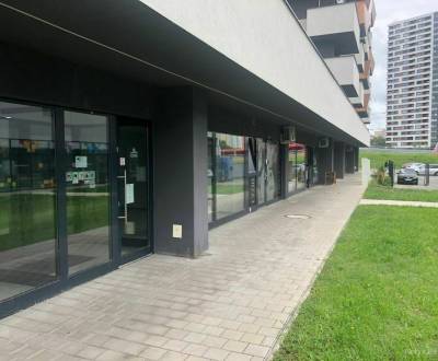 Rent Commercial premises, Commercial premises, Muchovo nám., Bratislav