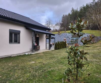 Sale Family house, Family house, Bánovce nad Bebravou, Slovakia