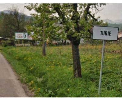 Sale Agrarian and forest land, Agrarian and forest land, Turie, Žilina