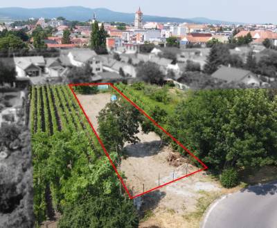 Sale Land – for living, Land – for living, Holubyho, Pezinok, Slovakia