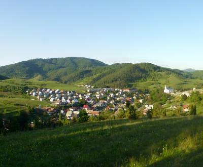 Sale Agrarian and forest land, Agrarian and forest land, ., Prievidza,