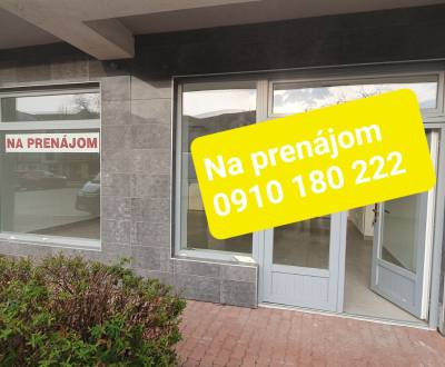 Rent Commercial premises, Commercial premises, Nové Zámky, Slovakia