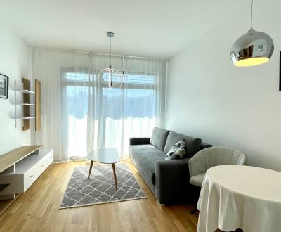 Rent One bedroom apartment, One bedroom apartment, Rudolfa Mocka, Brat