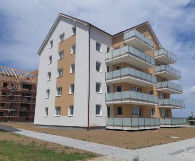 Searching for One bedroom apartment, One bedroom apartment, Muškátová,