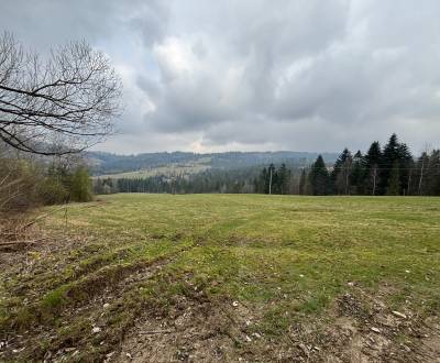 Sale Recreational land, Recreational land, Švancari, Čadca, Slovakia
