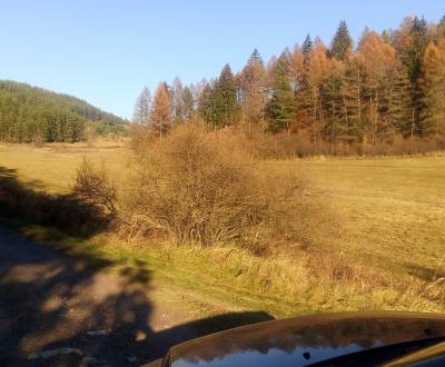 BRIEŠTIE- Hadviga lesný trávnatý pozemok 13 710 m2, vhodný na usadlosť