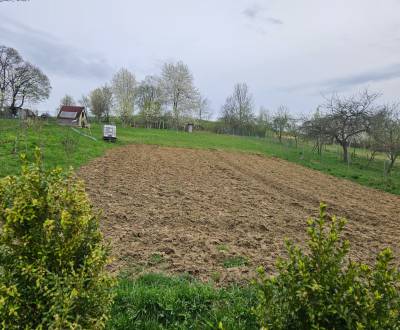 Sale Land – for living, Land – for living, Lazy, Ilava, Slovakia