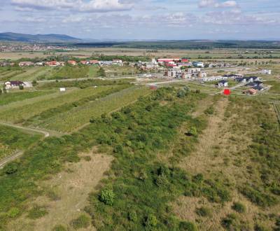 Sale Agrarian and forest land, Agrarian and forest land, Trnavská, Pez