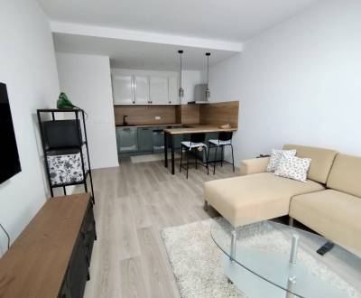 Rent One bedroom apartment, One bedroom apartment, Fialová, Bratislava