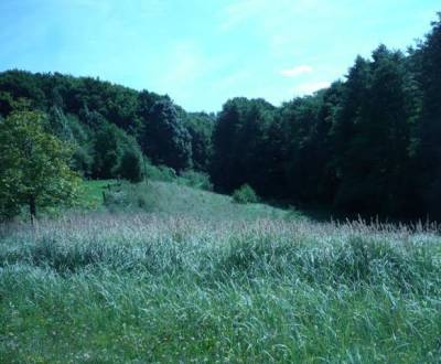 Lesné pozemky vrátane zastavaných ploch a nádvorí, Látky - Málinec