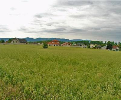 Sale Land – for living, Land – for living, Centrum, Trnava, Slovakia