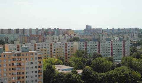 Searching for One bedroom apartment, Bratislava - Petržalka, Slovakia