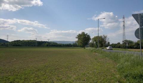 Sale Agrarian and forest land, 54, Nové Mesto nad Váhom, Slovakia