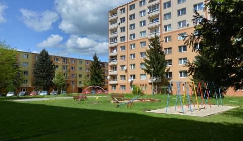 Searching for One bedroom apartment, One bedroom apartment, Gabajova, 
