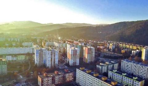Searching for One bedroom apartment, One bedroom apartment, Gorazdova,