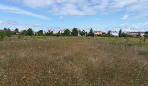 Sale Land – for living, Réca, Senec, Slovakia