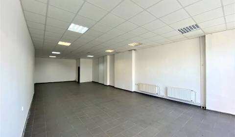 Rent Commercial premises, Commercial premises, Bratislavská, Ilava, Sl