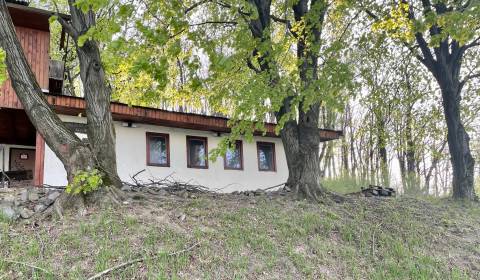 Sale Cottage, Cottage, Michalovce, Slovakia