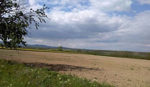 Searching for Land – for living, Pezinok, Slovakia