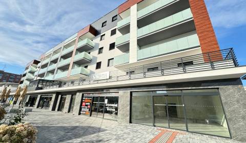 Rent Commercial premises, Commercial premises, Juh, Nové Zámky, Slovak