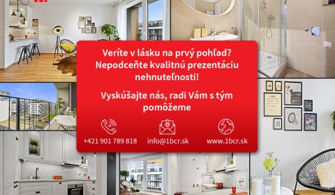 Rent Storehouses and Workshops, Stará Vajnorská, Bratislava - Nové Mes