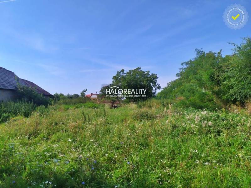 Mýtne Ludany Land – for living Sale reality Levice