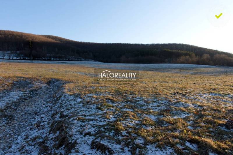 Hrabičov Recreational land Sale reality Žarnovica