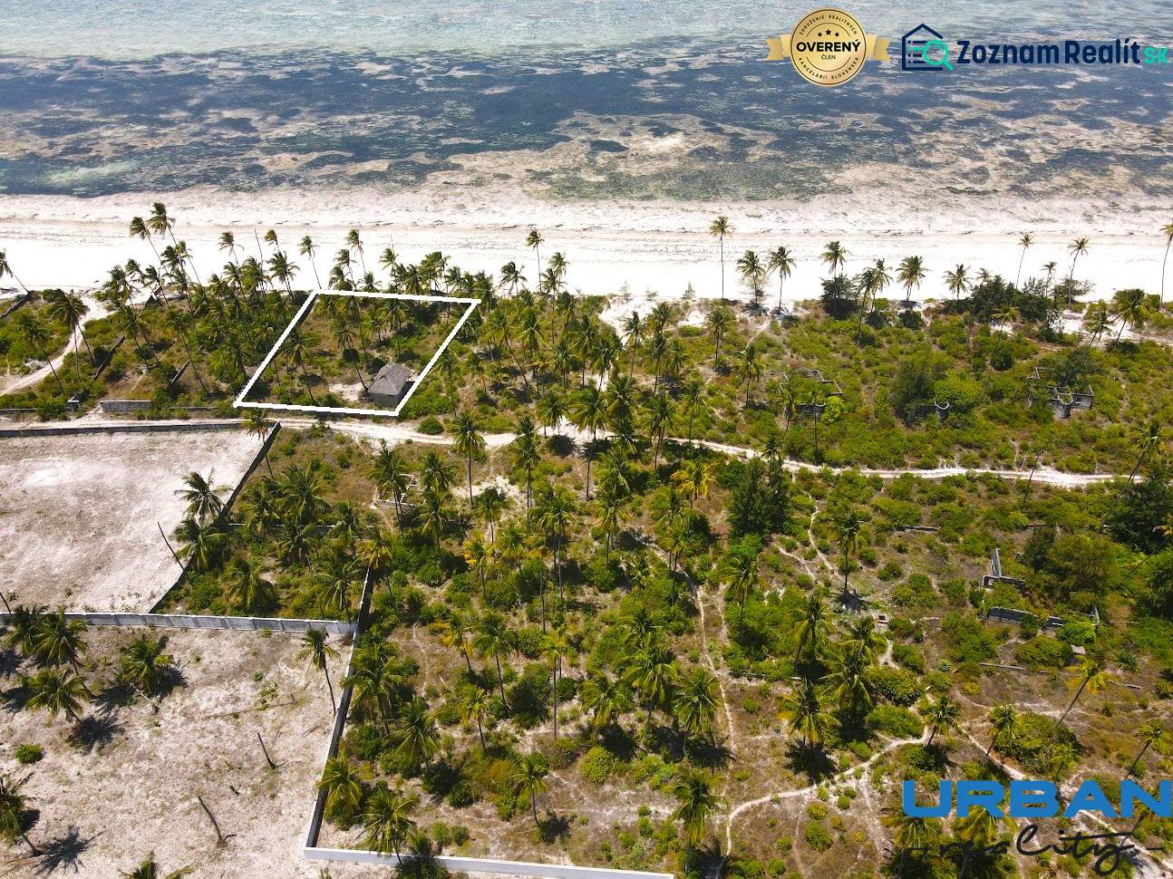 Hassan Bwejuu 6 edited.jpg