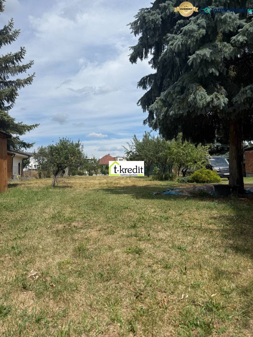 Grass area and trees on a residential plot in Zlaté Moravce.