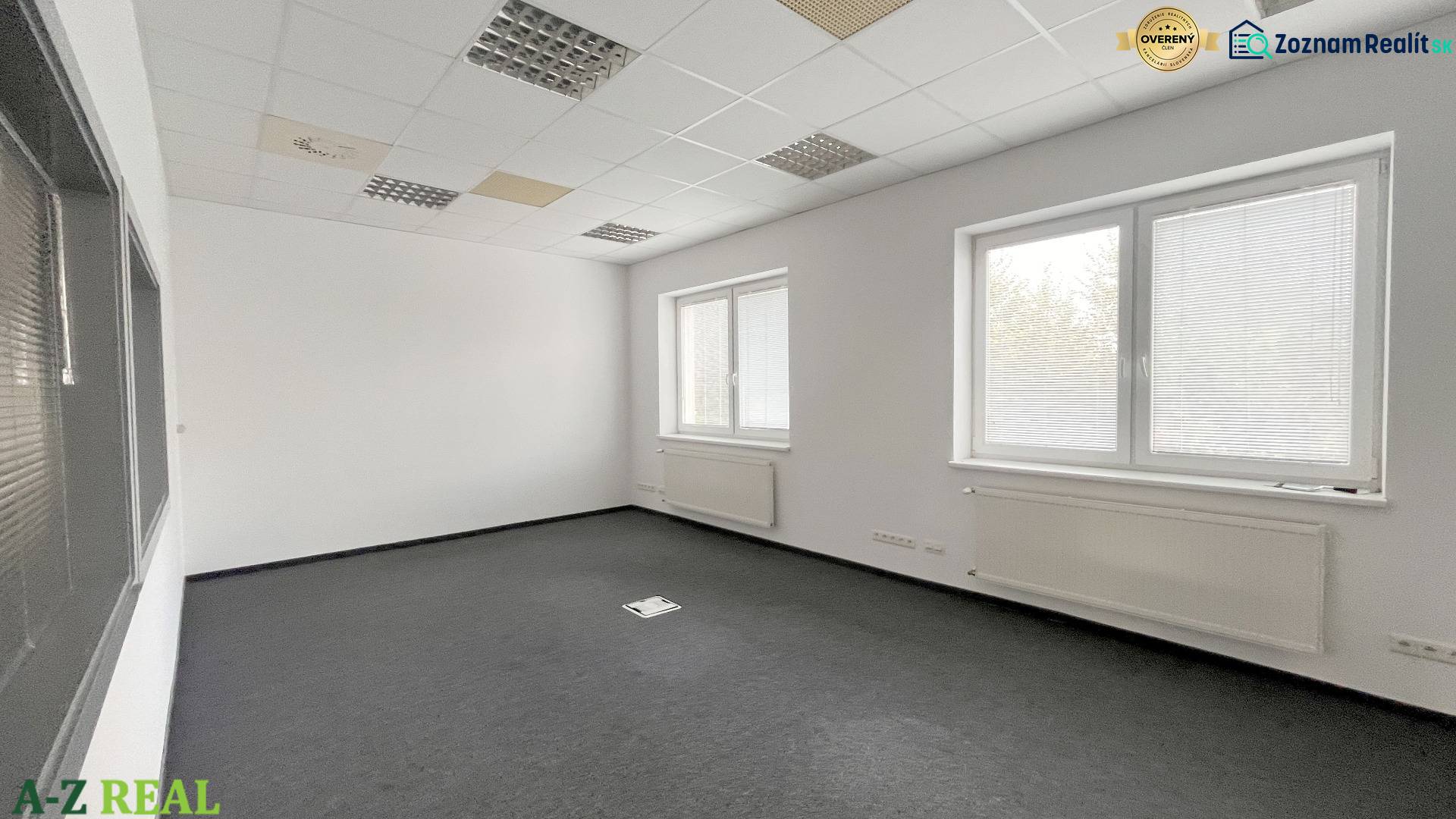 Offices with light walls, black carpet, and ceiling panels.