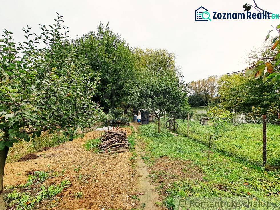 The garden of the family house in Ľudovítová with fruit trees and a pile of wood.