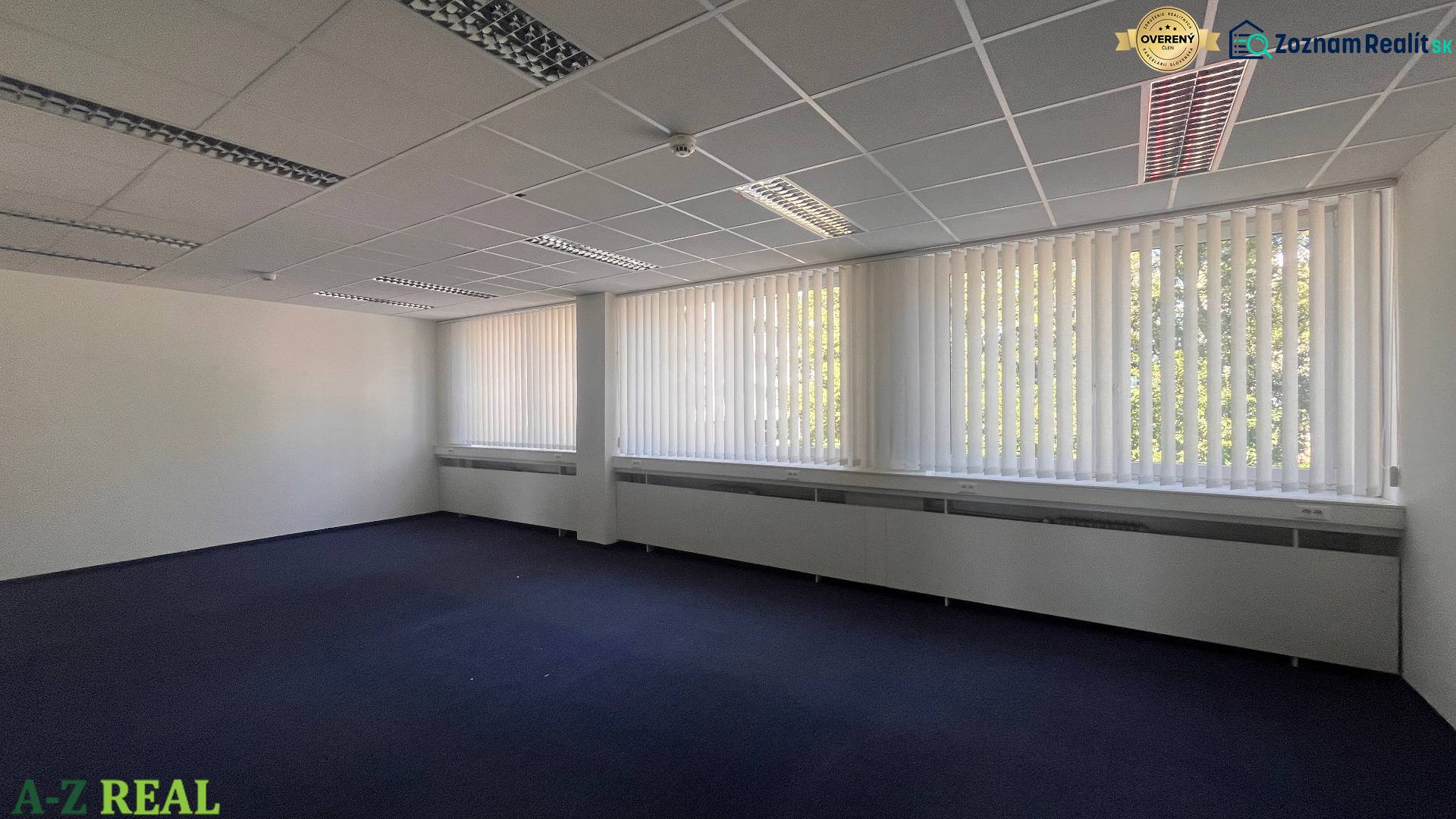 Empty offices with blue carpet, vertical blinds, and a suspended ceiling.