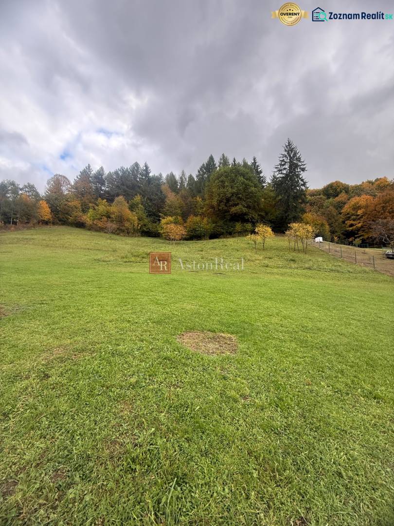 A view of a green plot suitable for living in Zbor surrounded by forest.