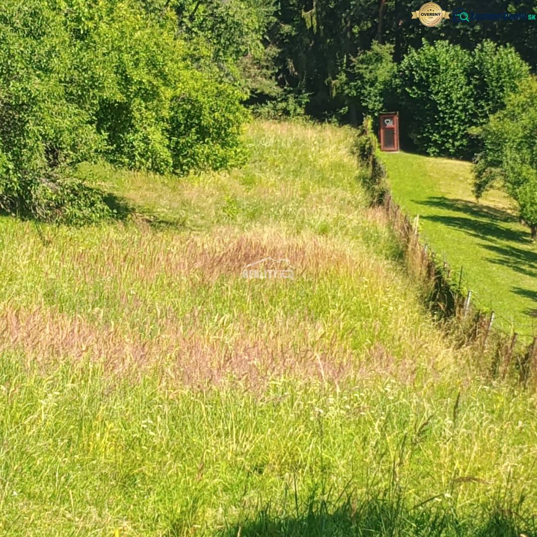Greenery and grass on recreational plots in Žilina in a natural environment.