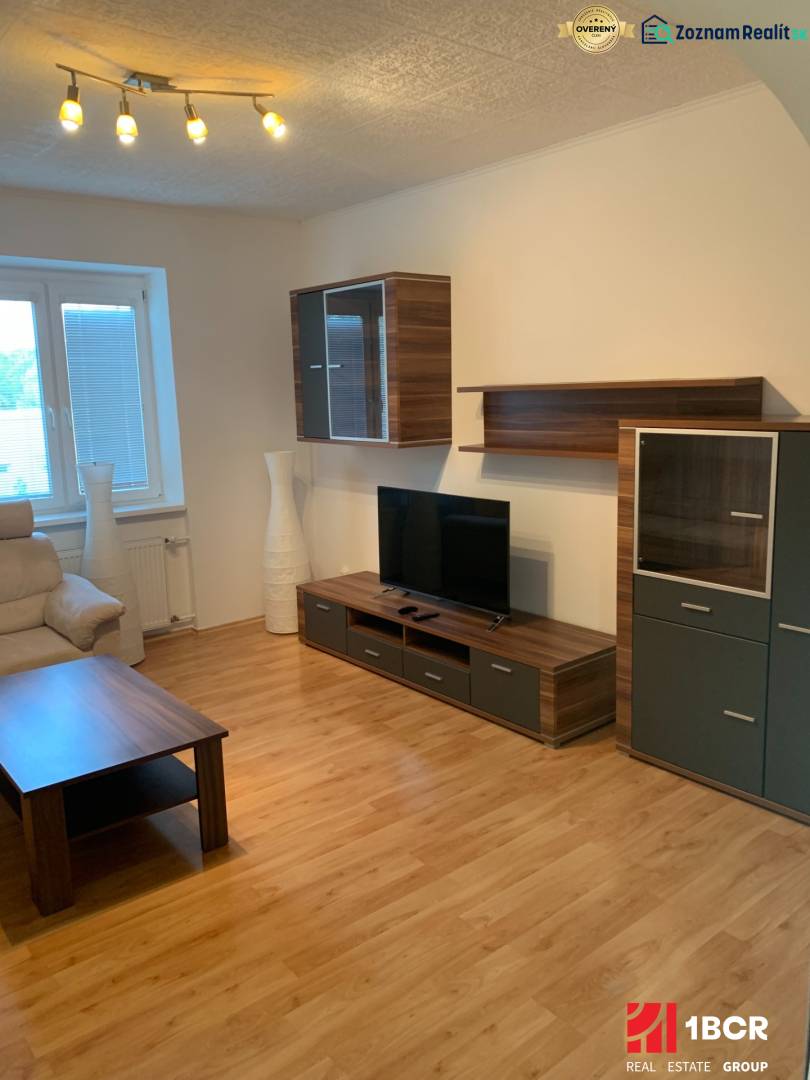 Living room of a two-room apartment with wood-patterned flooring and a television.