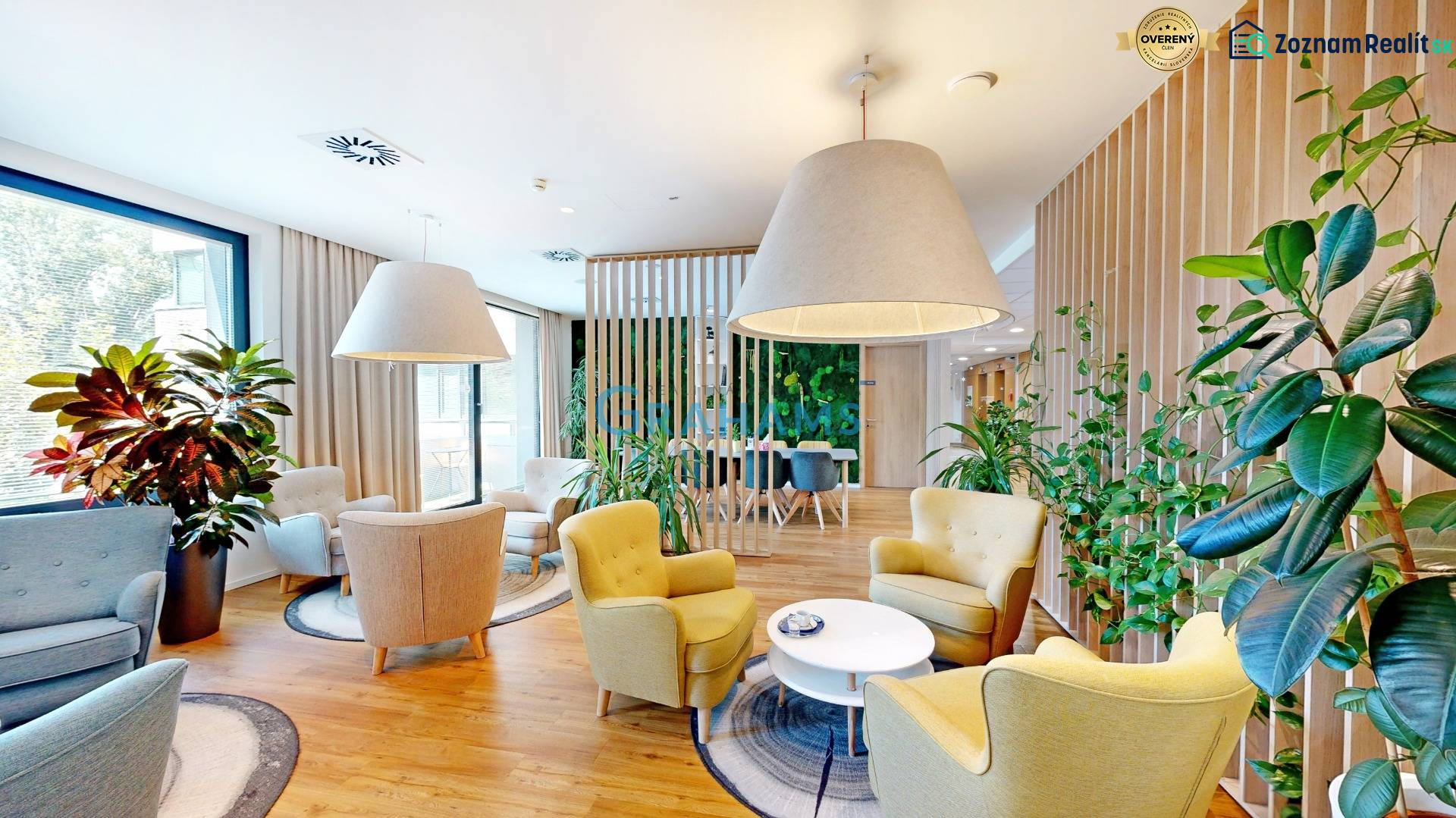 Bright offices with comfortable chairs, large plants, and wood-patterned flooring.