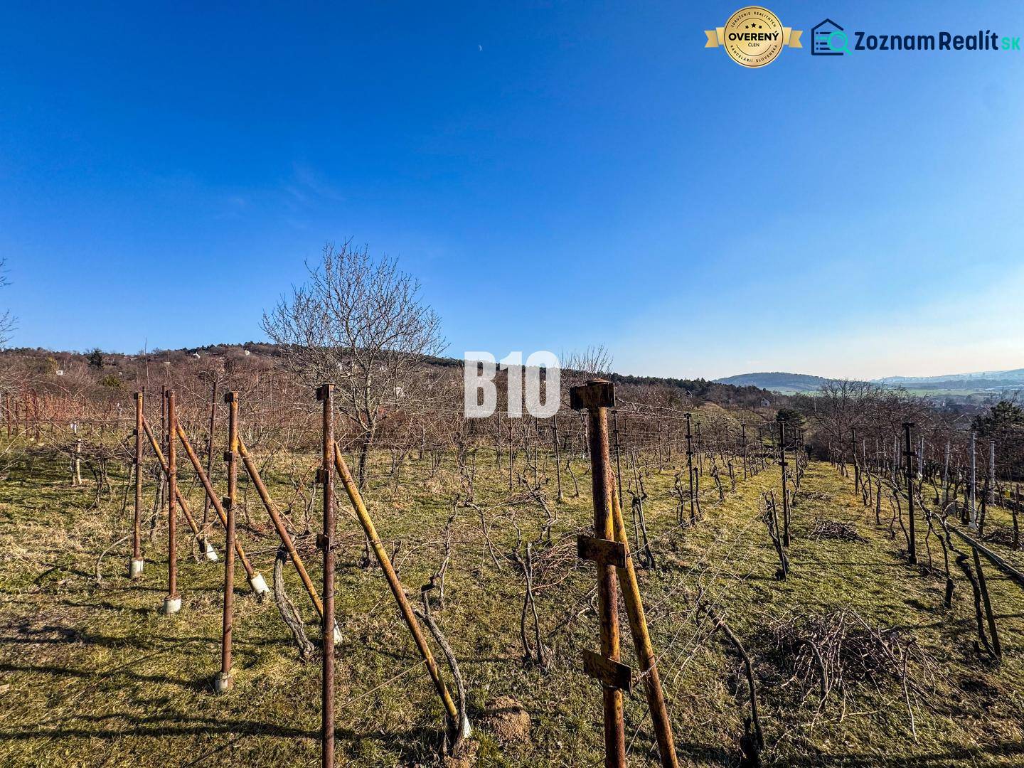 Vineyard in the gardens of Nitra with a view of the surrounding landscape and blue sky.