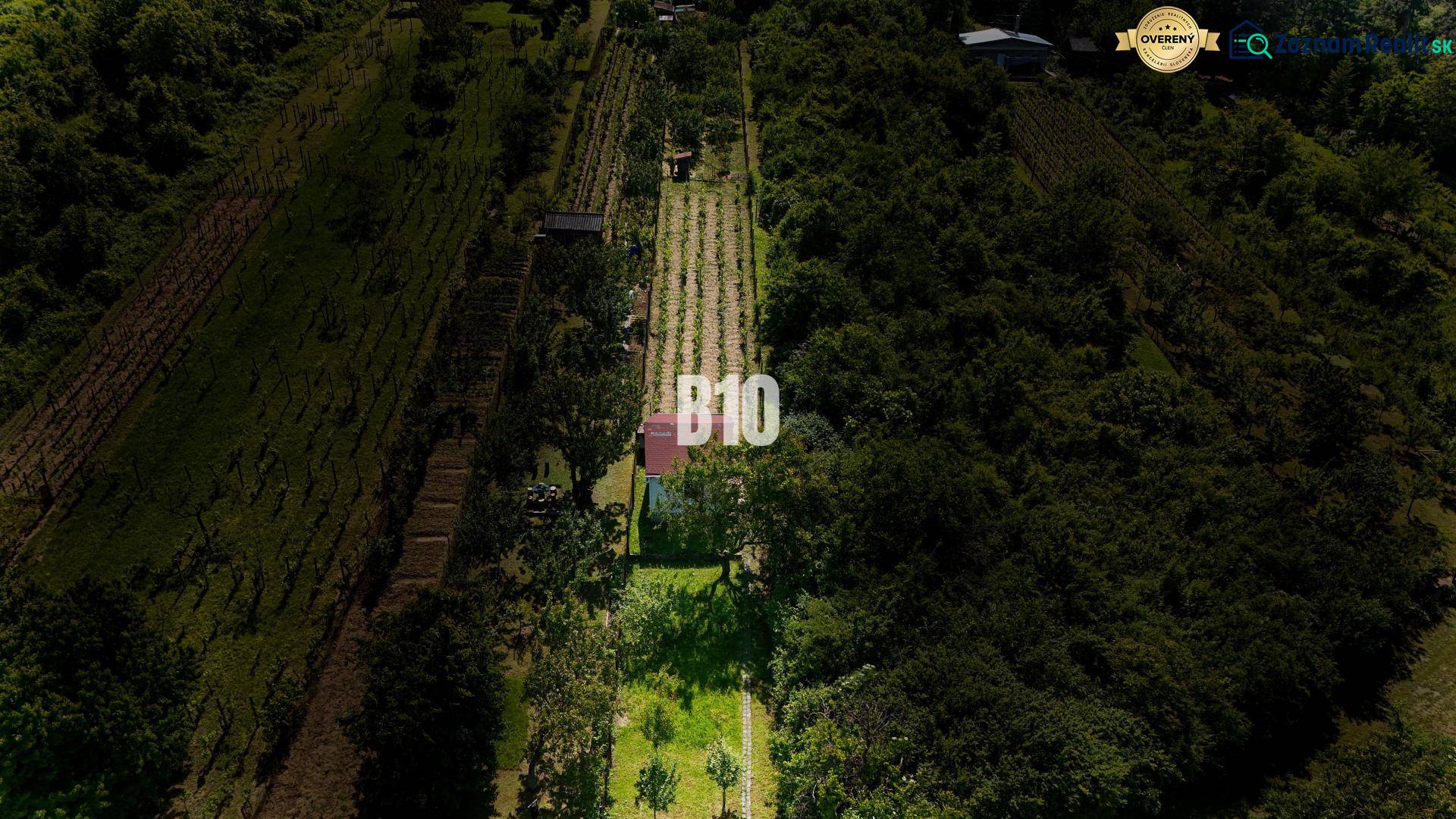Vineyards near Nitra surrounded by greenery with a small building on the property.