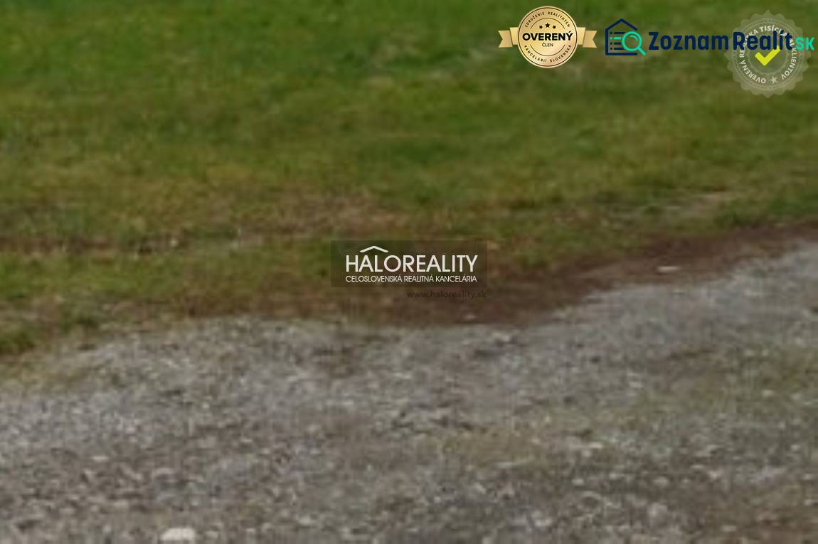 Greenery on the plot in Dulova Ves designated for housing.